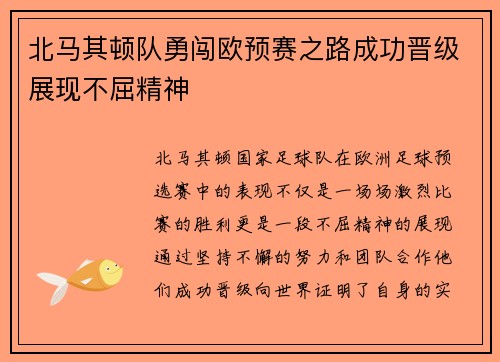 北马其顿队勇闯欧预赛之路成功晋级展现不屈精神