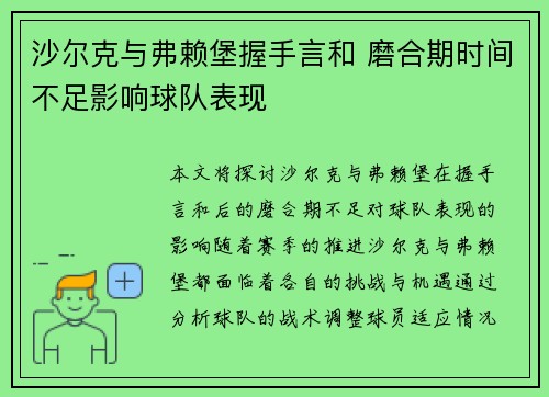 沙尔克与弗赖堡握手言和 磨合期时间不足影响球队表现