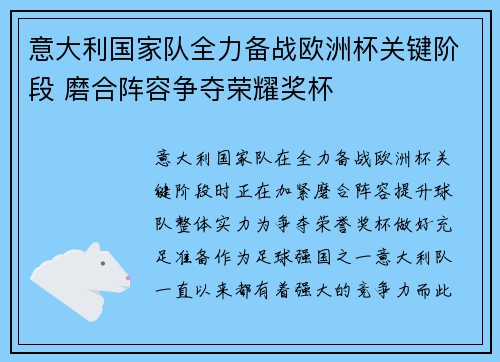 意大利国家队全力备战欧洲杯关键阶段 磨合阵容争夺荣耀奖杯