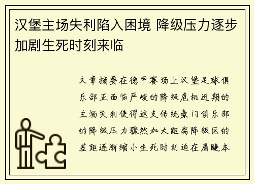 汉堡主场失利陷入困境 降级压力逐步加剧生死时刻来临