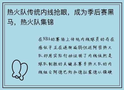热火队传统内线抢眼，成为季后赛黑马，热火队集锦